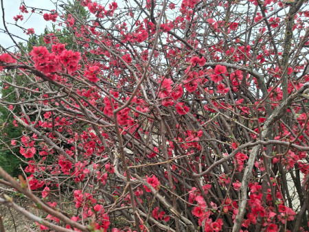 Merci Gilles pour ces belles découvertes au fil de l'eau